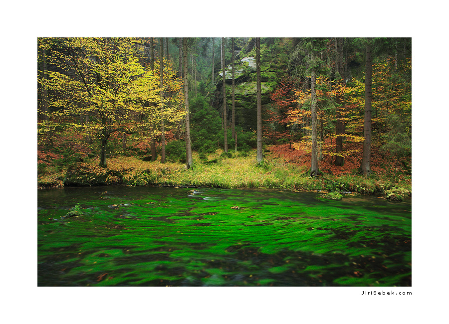 08_6346-kamenice