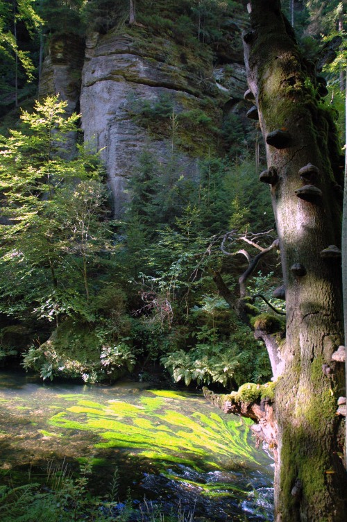 ceske-svycarsko-edmundova-souteska2